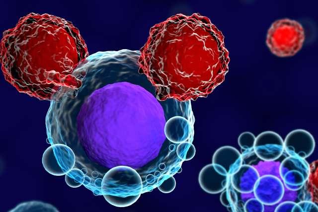 T细胞攻击和杀死癌细胞的3d渲染图